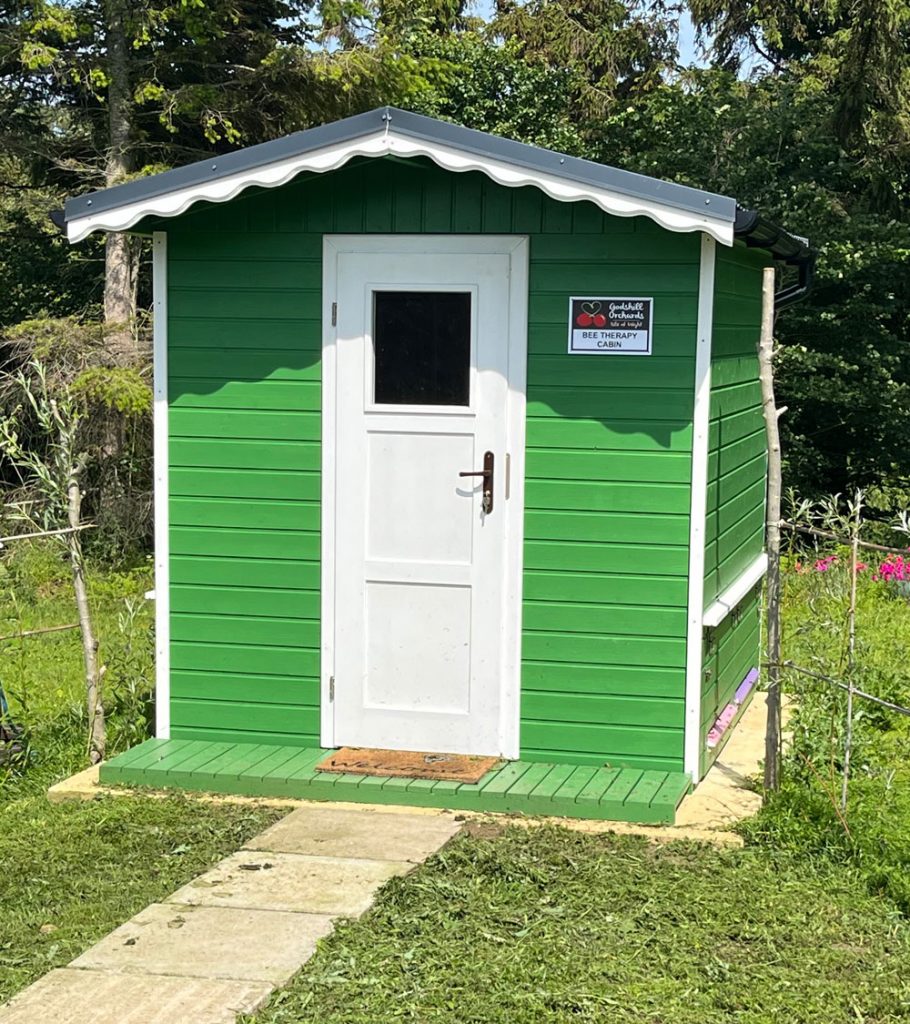 Bee therapy cabin on the Isle of Wight
